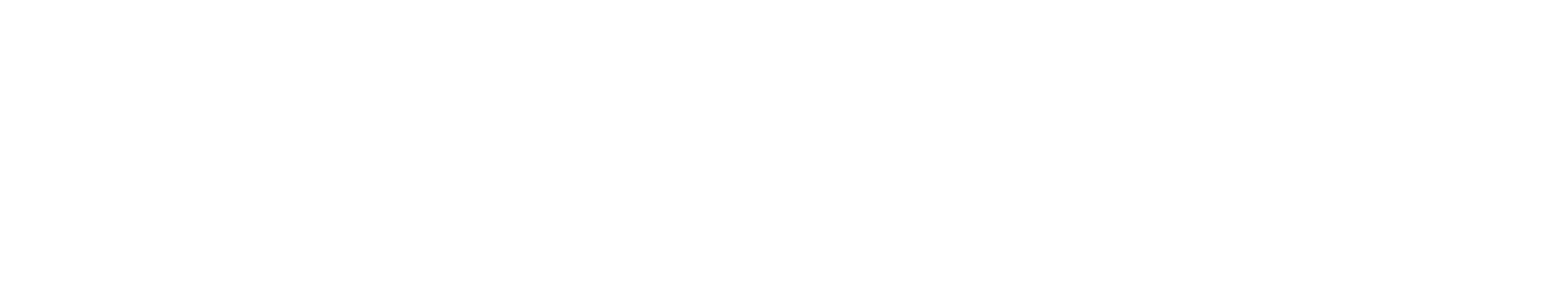 Austin Pet Sitters Organization